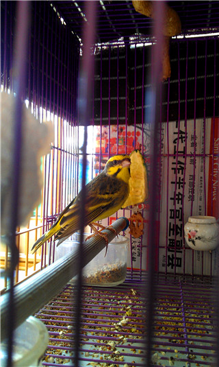 IMAG0067_副本.jpg