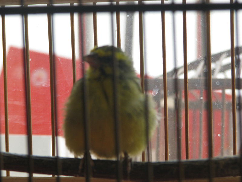 IMG_0019_副本.jpg