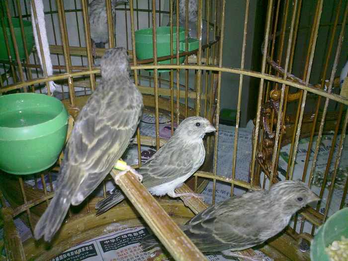 201202251158.jpg