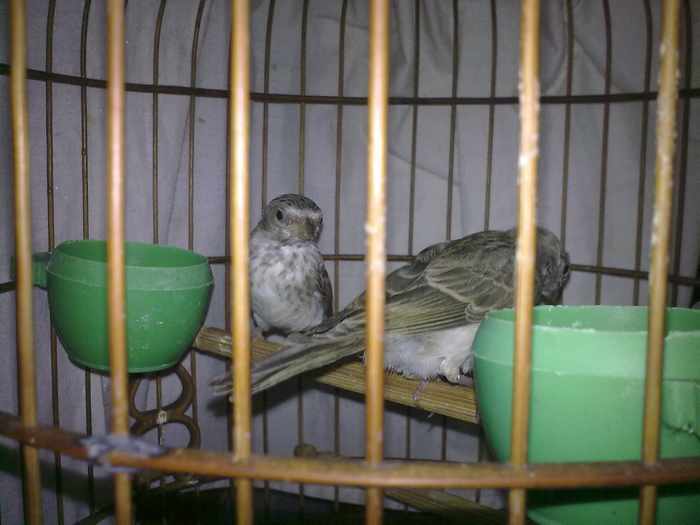 201202251149.jpg