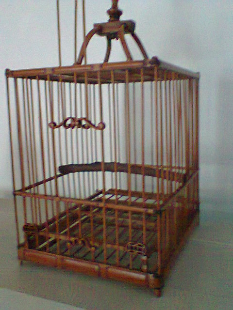 照片0099.jpg