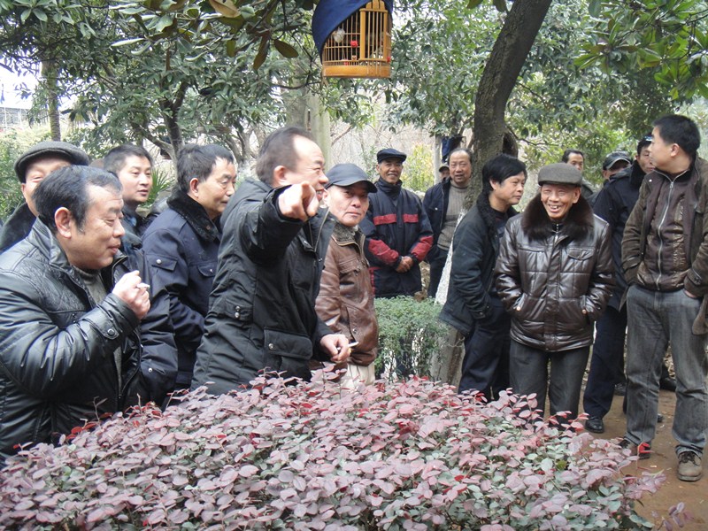 DSC02405_副本.jpg