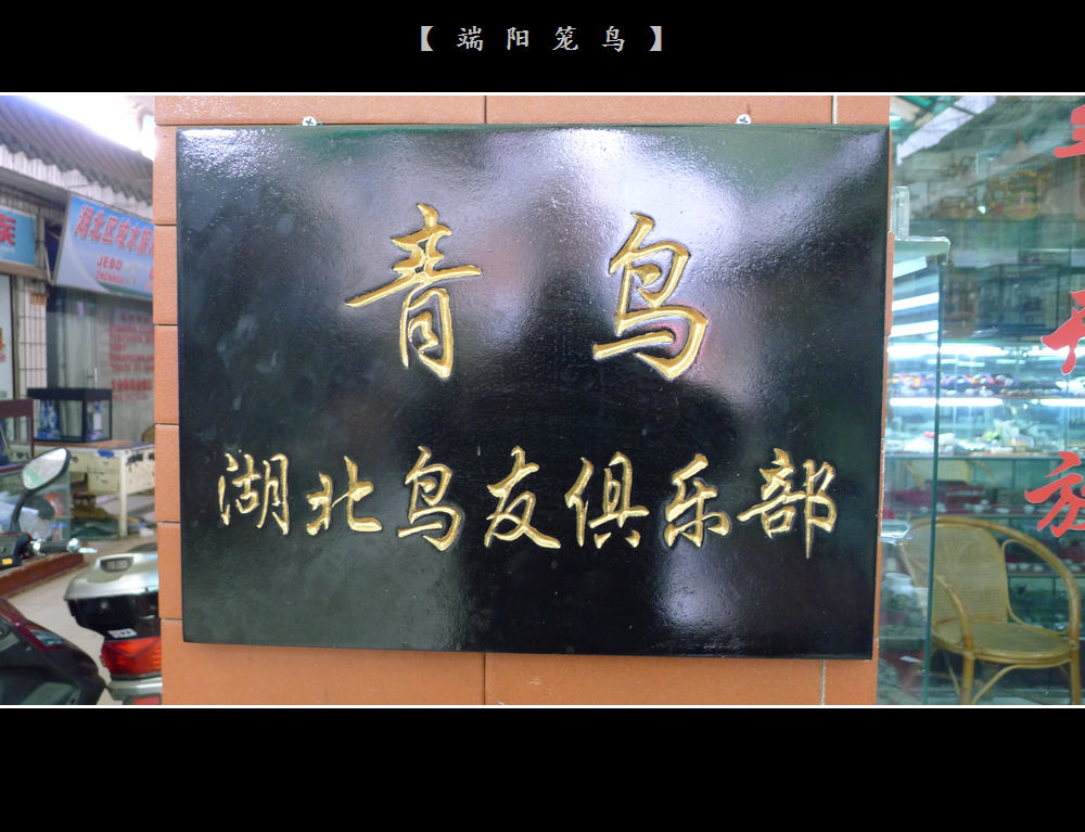 P1030660.jpg