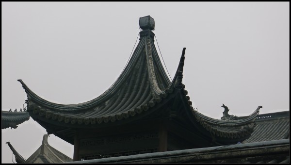 conew_p1030833.jpg
