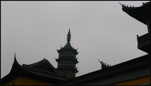 conew_p1030837.jpg