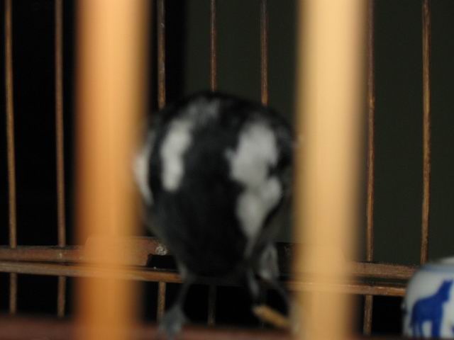 调整大小 IMG_2413.JPG