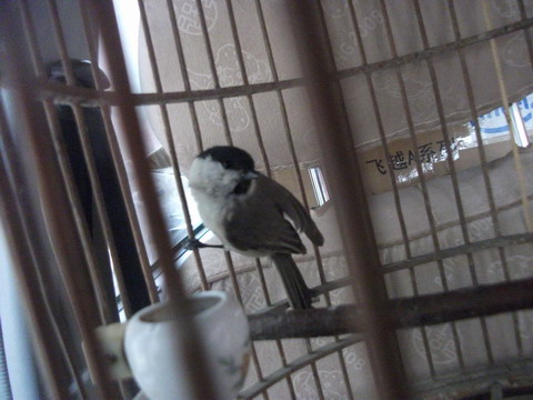 DSCF9492.JPG