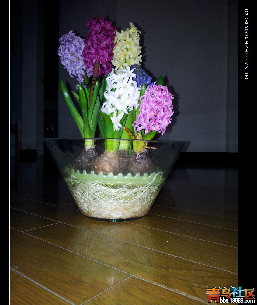 20120317_201129.jpg
