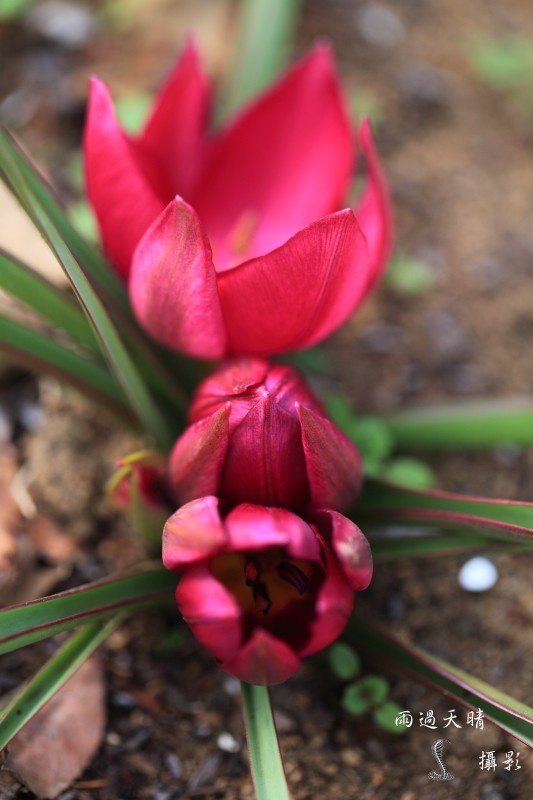conew_dpp_00018.jpg