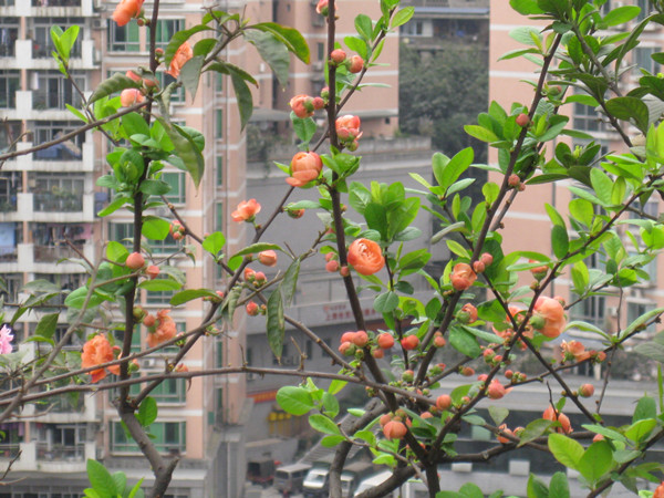 IMG_1688_副本.jpg