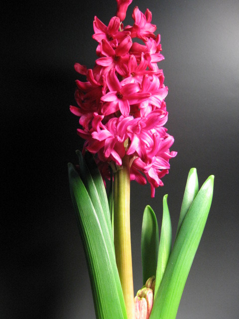 2012-03-10 057.jpg