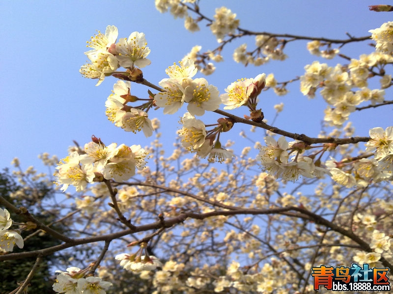 20120326603-1.jpg