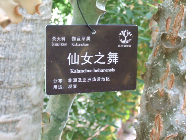 DSCF2622.JPG