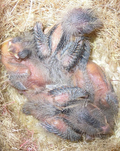 DSCN1396.JPG