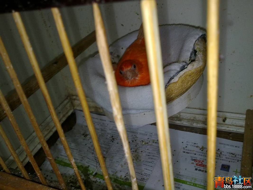 20120317305.jpg