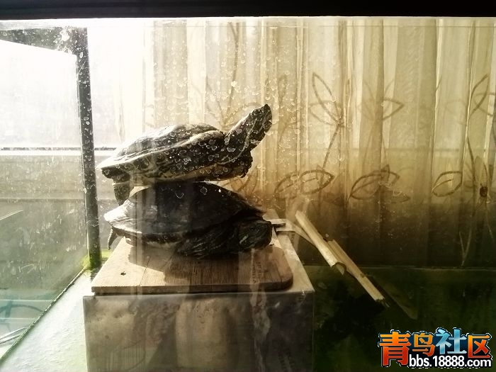 照片0074.jpg