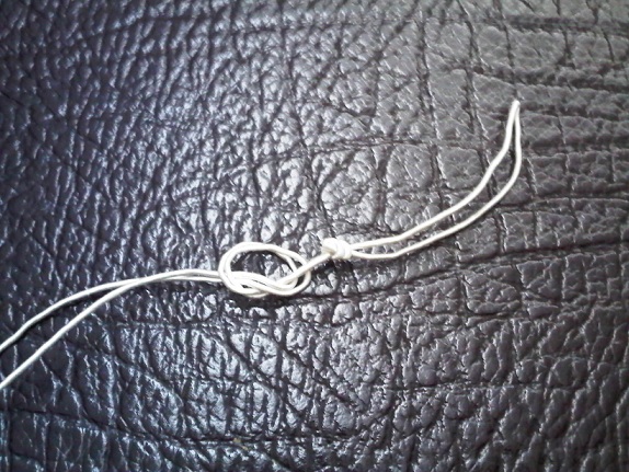 IMG01304-20120307-1846.jpg