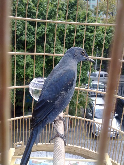 20120217454.jpg