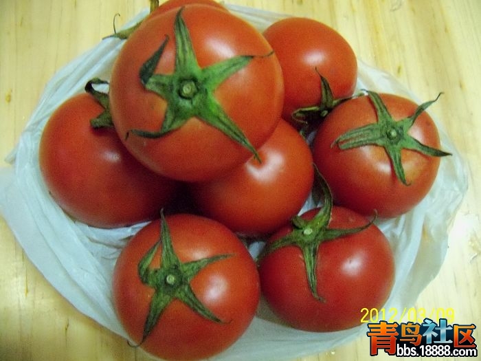 100_0395.jpg