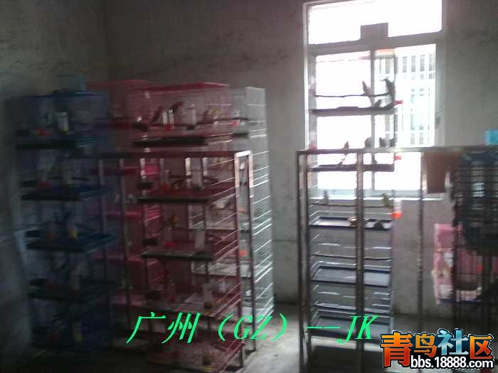 20120323010.jpg
