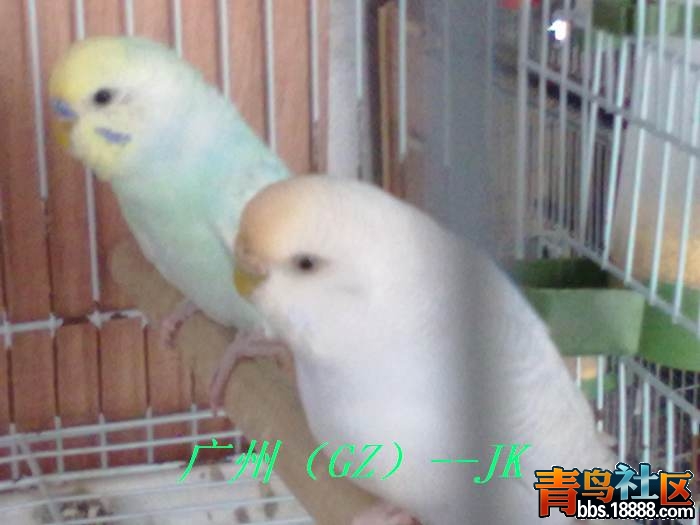 20120323027.jpg