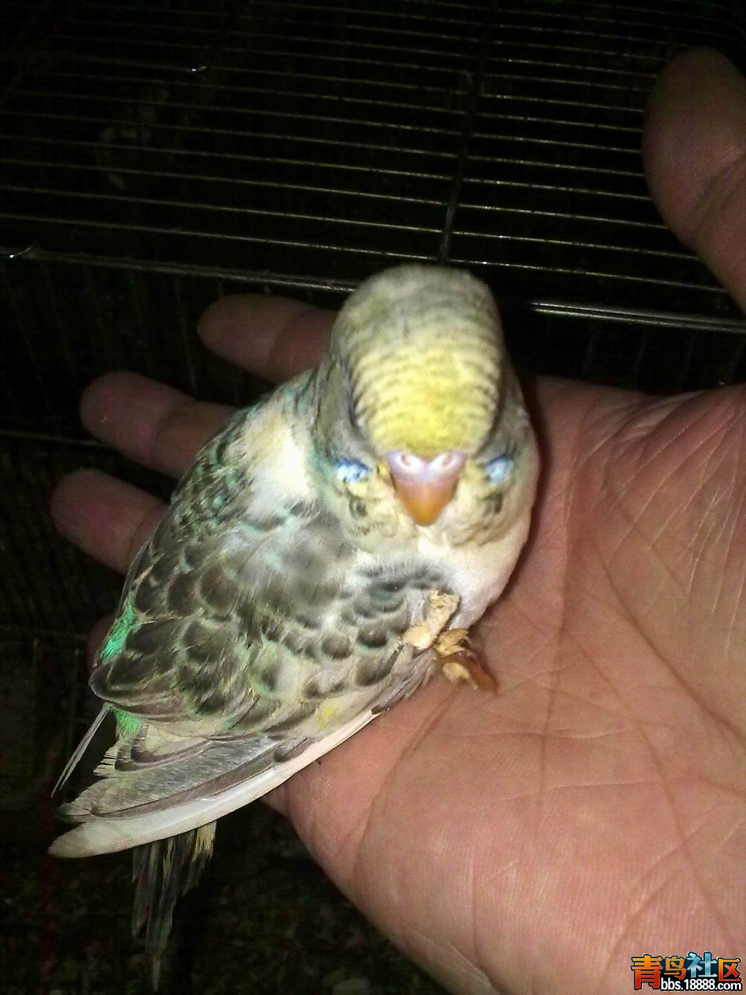 调整大小 重新曝光 20120309973.jpg