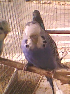 IMG6352A.jpg