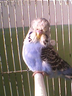 IMG6339A.jpg