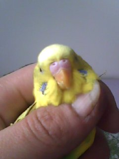 20120318_001.jpg