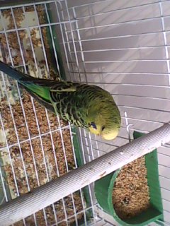20120318_008.jpg