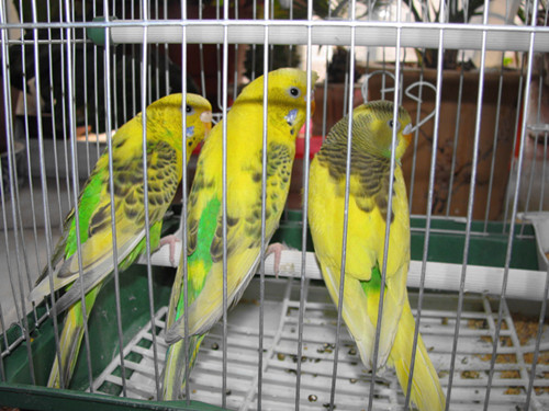IMG_2940_副本.jpg