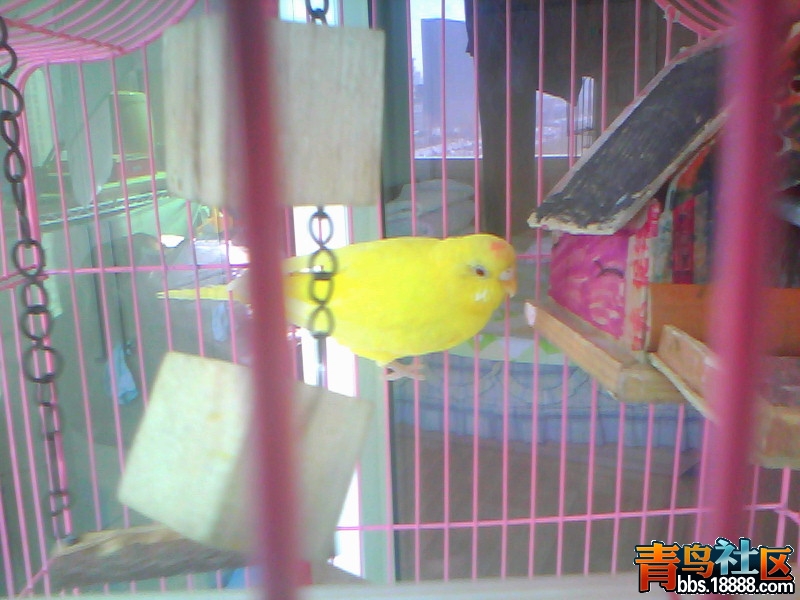 20120327C006.jpg