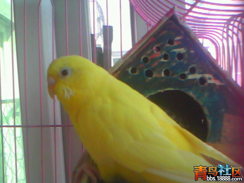 20120327D002.jpg