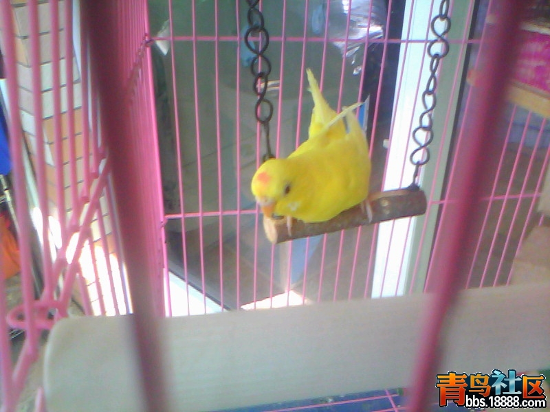 20120327C007.jpg