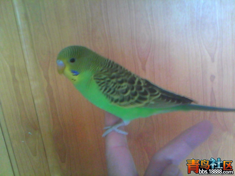 20120325C001.jpg