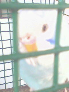 IMG0590A.jpg