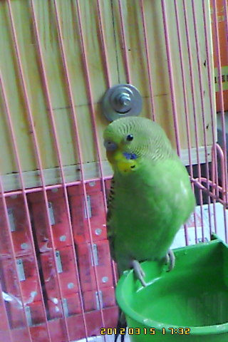 IMG00020.jpg