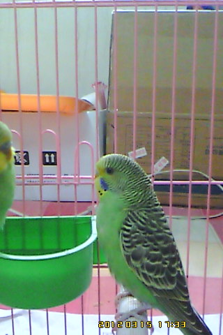 IMG00023.jpg