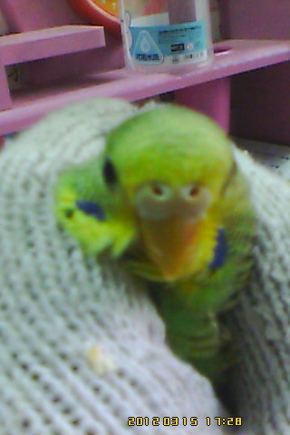 IMG00009.jpg