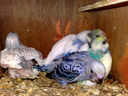 20120310541.jpg