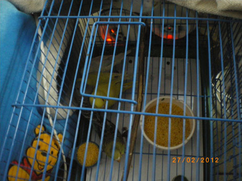 IMGP4122.JPG