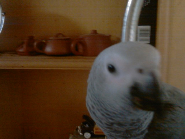 IMAG0014.jpg