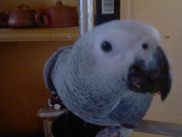 IMAG0015.jpg