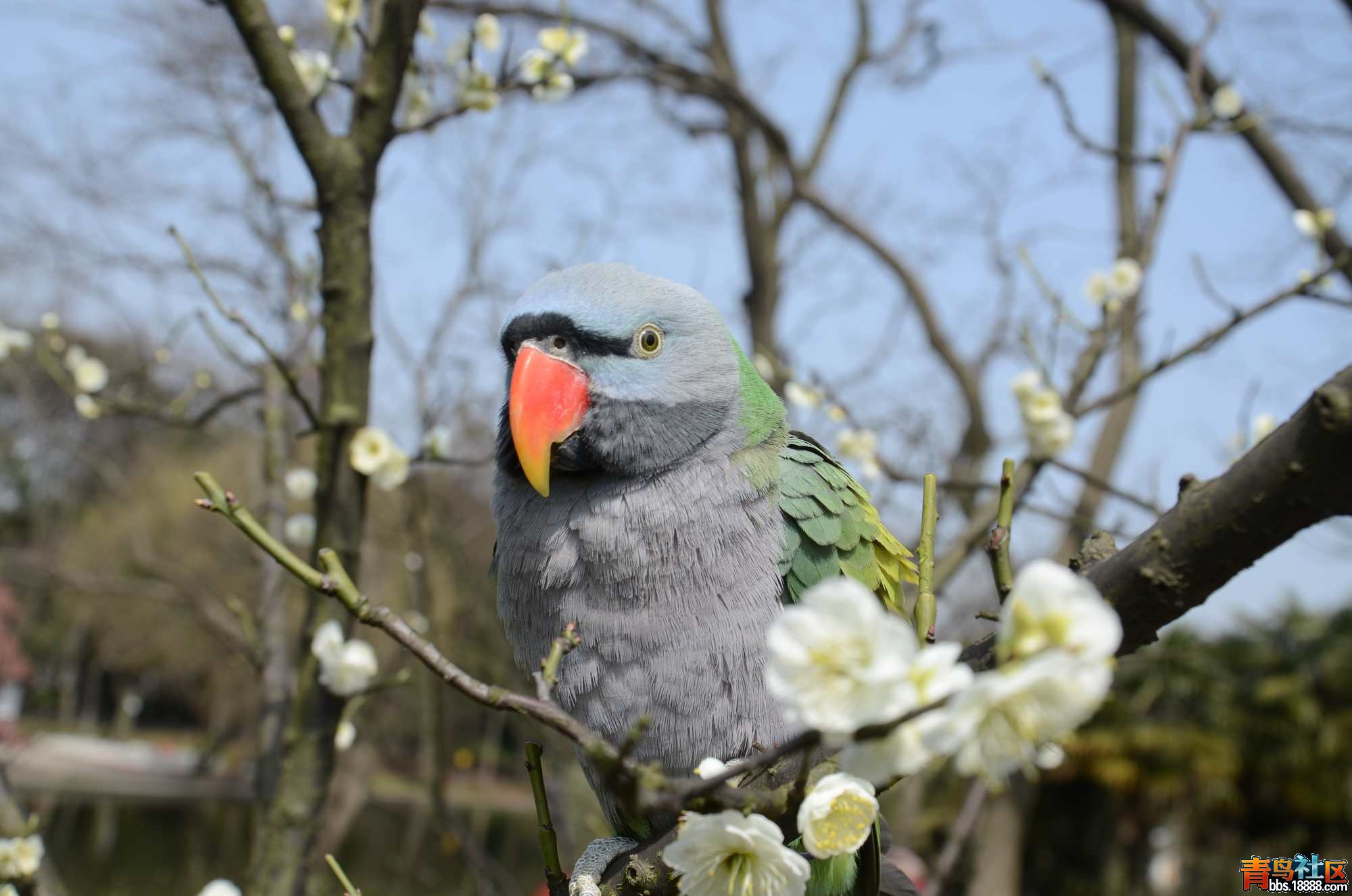 DSC_3271.JPG
