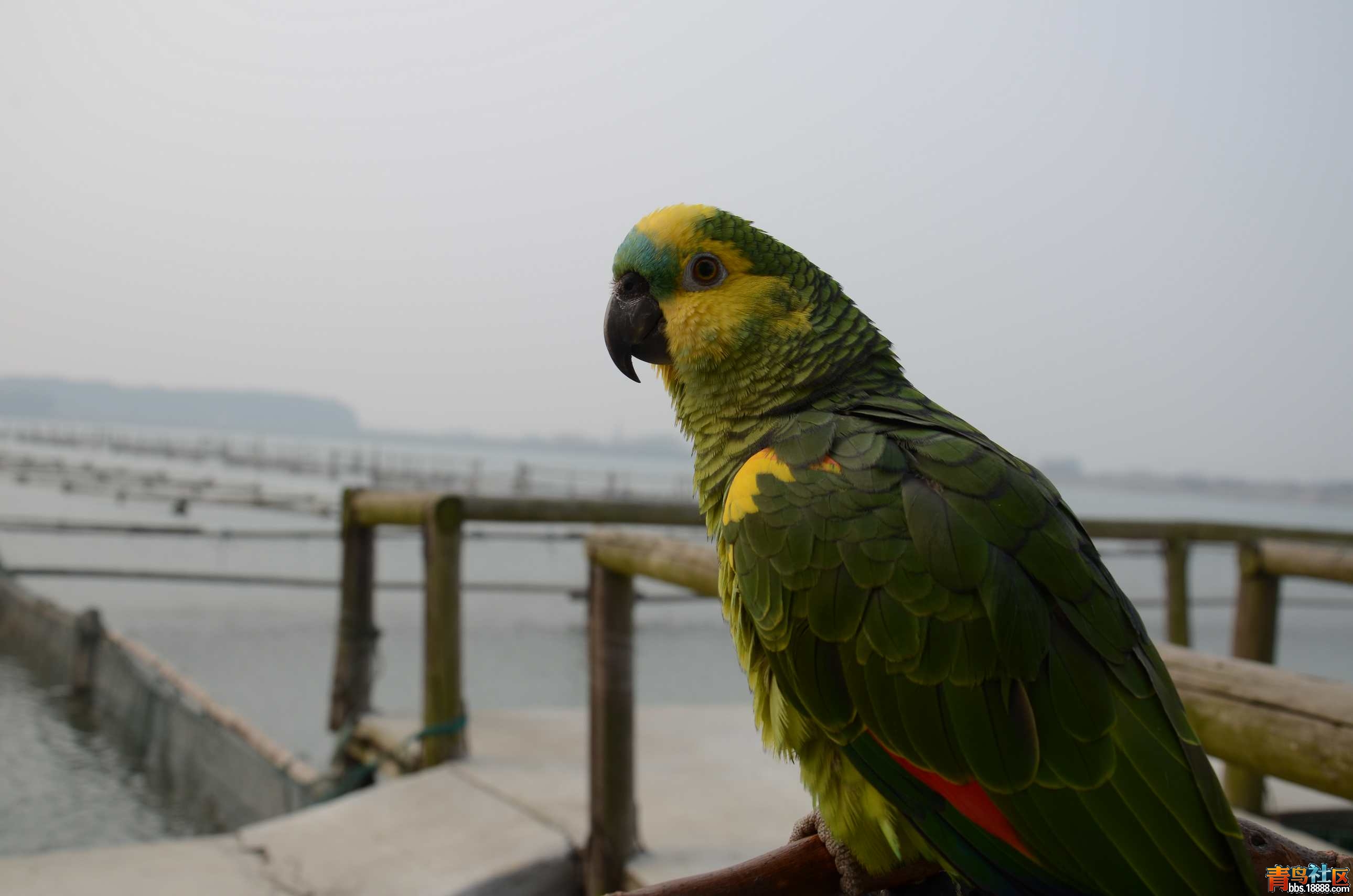 DSC_3129.JPG