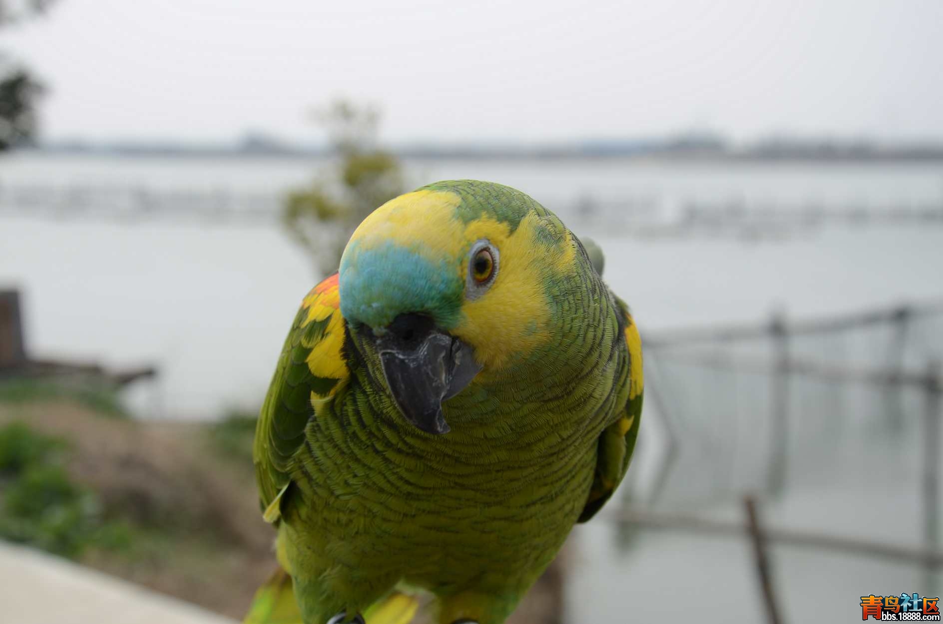 DSC_3193.JPG
