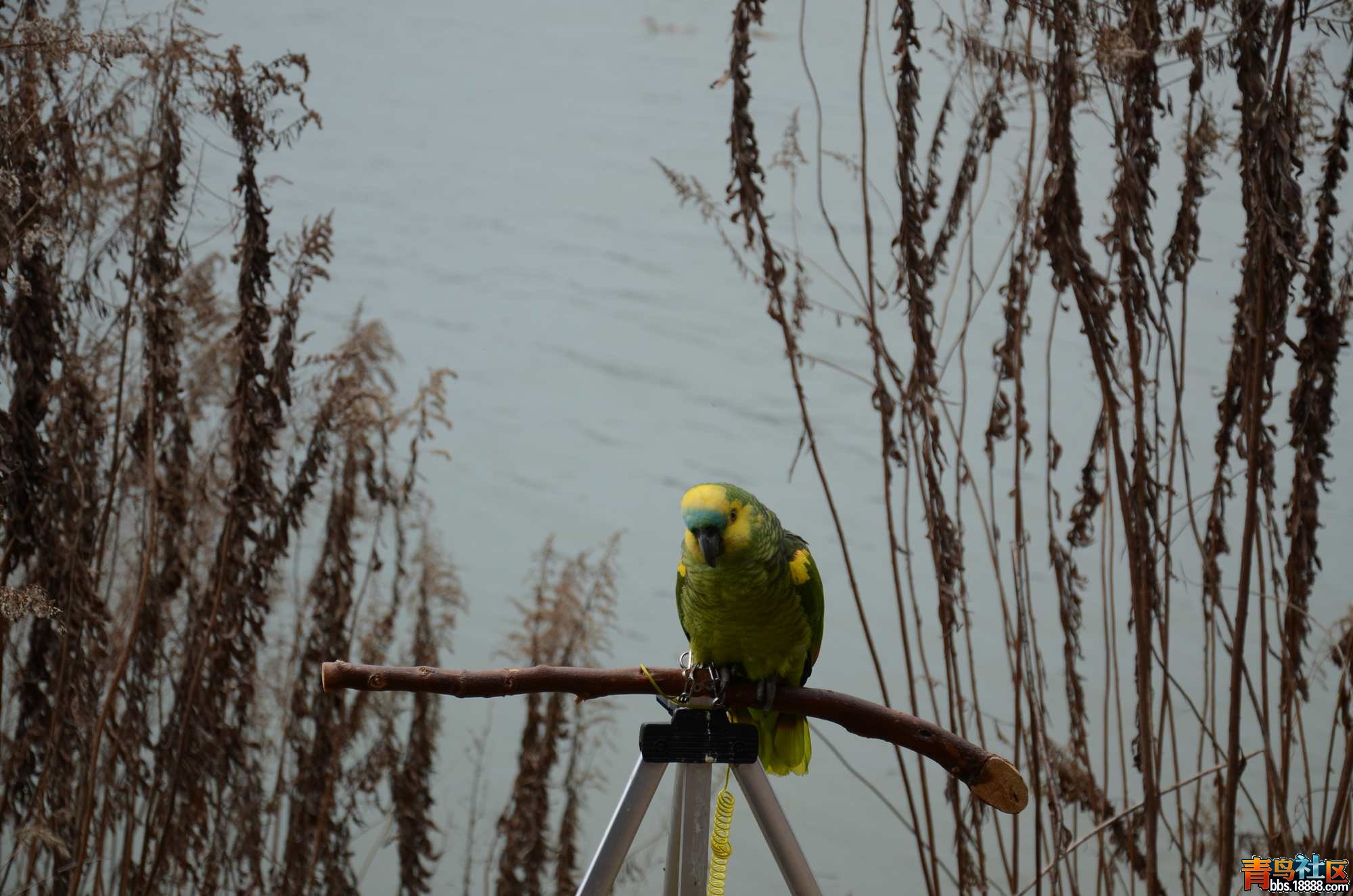 DSC_3156.JPG