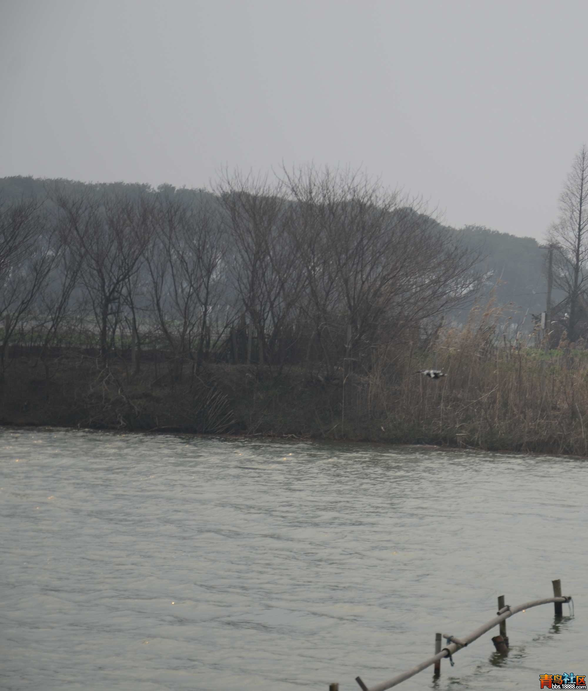 DSC_3164.JPG