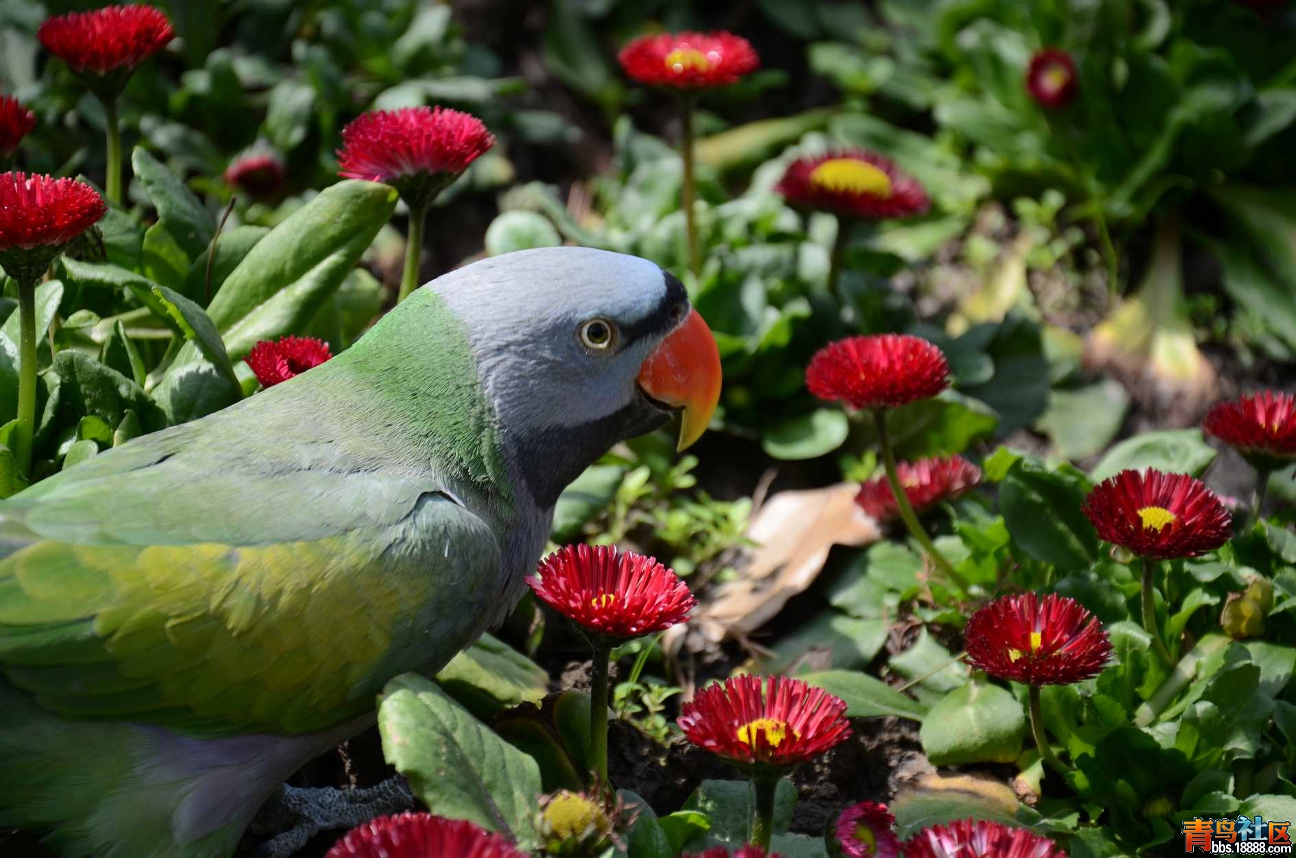 DSC_3298.JPG