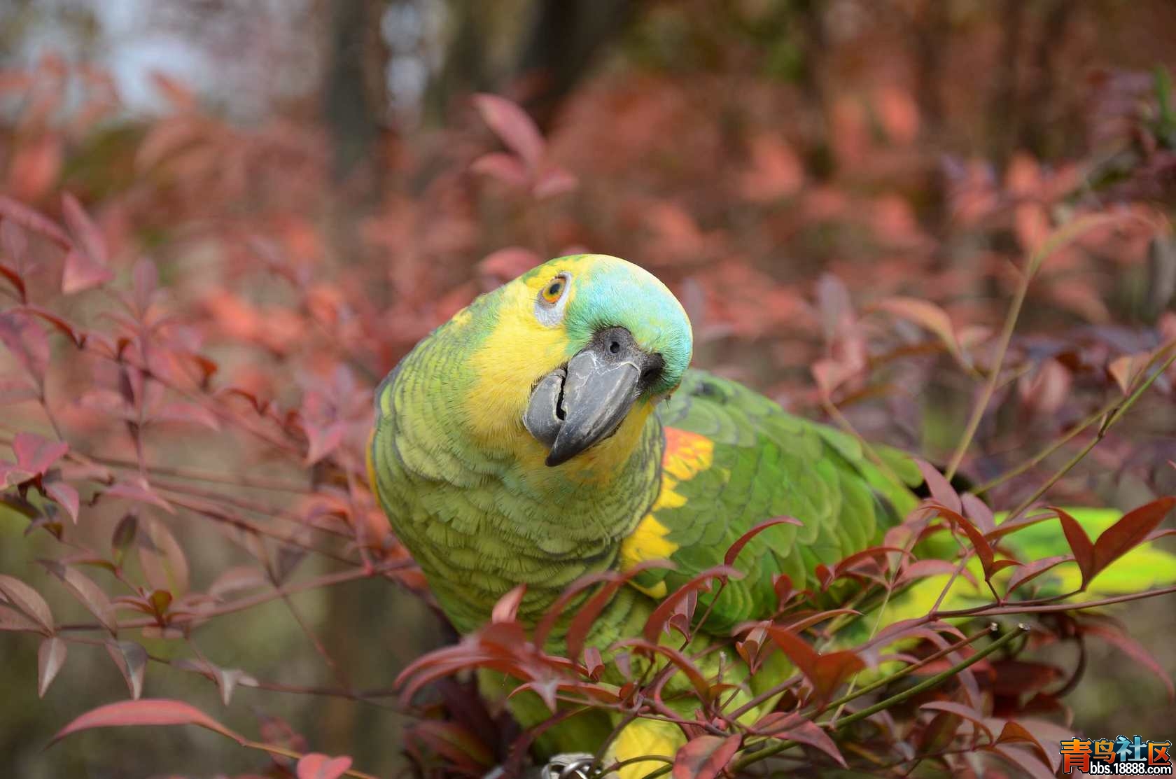 DSC_2955.JPG